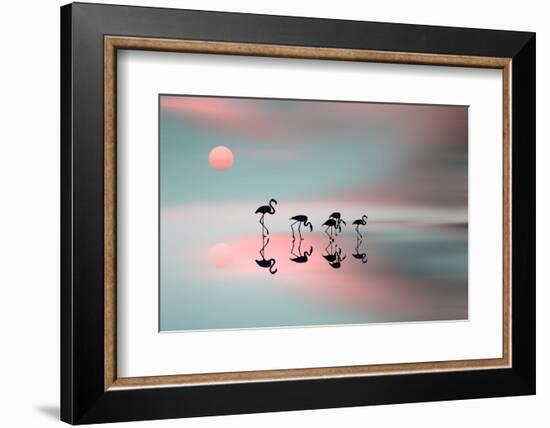 Family Flamingos-Natalia Baras-Framed Photographic Print