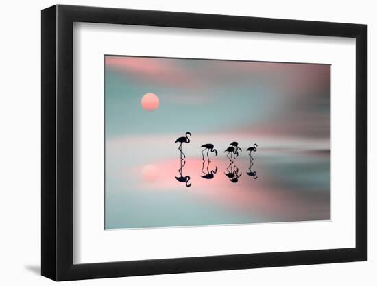 Family Flamingos-Natalia Baras-Framed Photographic Print