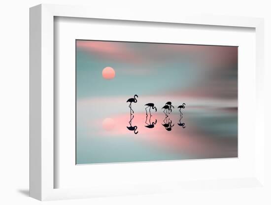 Family Flamingos-Natalia Baras-Framed Photographic Print