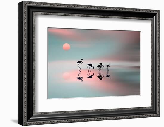 Family Flamingos-Natalia Baras-Framed Photographic Print