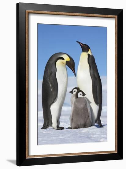 Family Gathering-Frank Krahmer-Framed Giclee Print