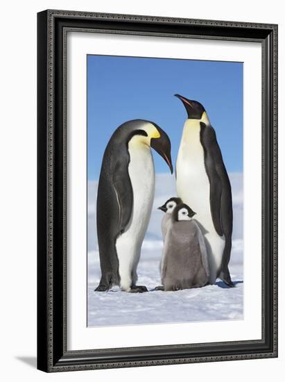 Family Gathering-Frank Krahmer-Framed Giclee Print