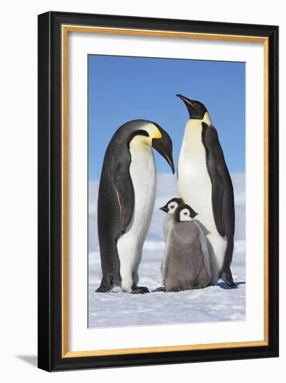 Family Gathering-Frank Krahmer-Framed Giclee Print