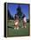 Family Golfing, Mt. Shasta, CA-Mark Gibson-Framed Premier Image Canvas