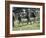 Family Hiking in The Wilderness-null-Framed Photographic Print