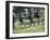 Family Hiking in The Wilderness-null-Framed Photographic Print