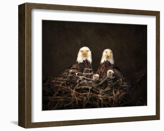 Family Is Forever Bald Eagles-Jai Johnson-Framed Giclee Print