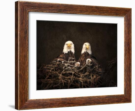 Family Is Forever Bald Eagles-Jai Johnson-Framed Giclee Print