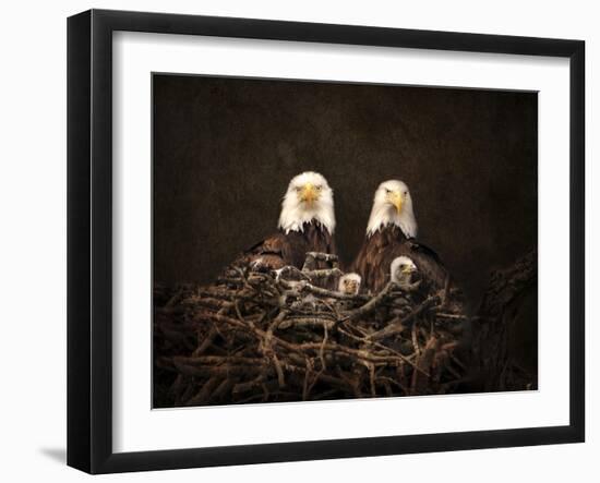 Family Is Forever Bald Eagles-Jai Johnson-Framed Giclee Print
