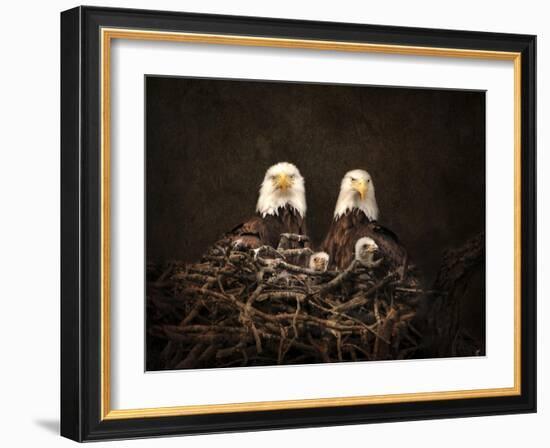 Family Is Forever Bald Eagles-Jai Johnson-Framed Giclee Print