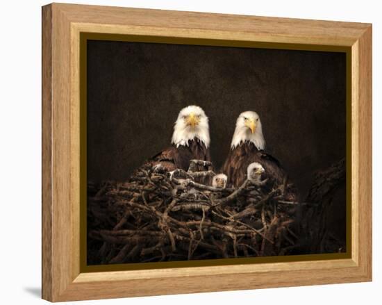 Family Is Forever Bald Eagles-Jai Johnson-Framed Premier Image Canvas