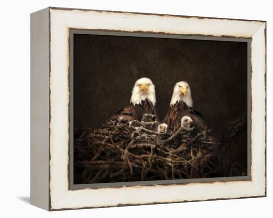 Family Is Forever Bald Eagles-Jai Johnson-Framed Premier Image Canvas