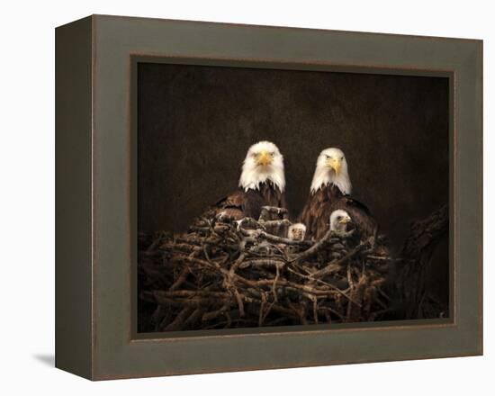 Family Is Forever Bald Eagles-Jai Johnson-Framed Premier Image Canvas