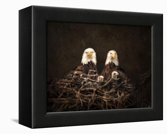 Family Is Forever Bald Eagles-Jai Johnson-Framed Premier Image Canvas