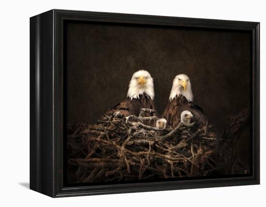 Family Is Forever Bald Eagles-Jai Johnson-Framed Premier Image Canvas