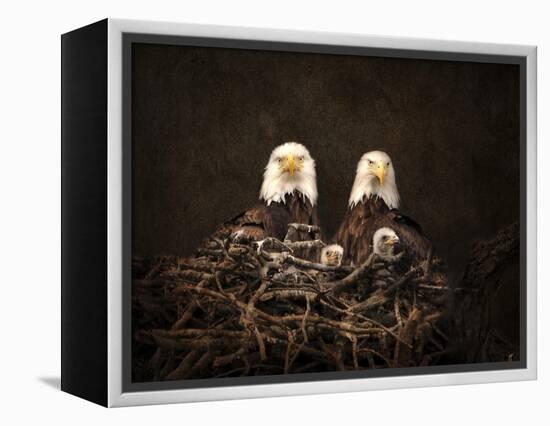 Family Is Forever Bald Eagles-Jai Johnson-Framed Premier Image Canvas