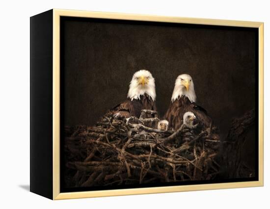 Family Is Forever Bald Eagles-Jai Johnson-Framed Premier Image Canvas