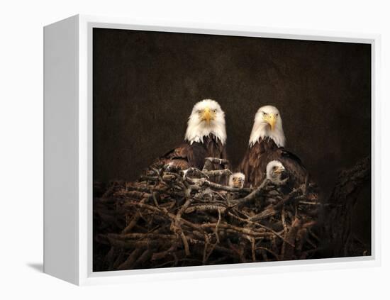 Family Is Forever Bald Eagles-Jai Johnson-Framed Premier Image Canvas