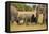 Family of African Elephants-Michele Westmorland-Framed Premier Image Canvas