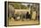 Family of African Elephants-Michele Westmorland-Framed Premier Image Canvas