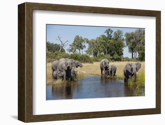 Family of African Elephants-Michele Westmorland-Framed Photographic Print