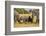 Family of African Elephants-Michele Westmorland-Framed Photographic Print