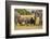 Family of African Elephants-Michele Westmorland-Framed Photographic Print