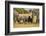 Family of African Elephants-Michele Westmorland-Framed Photographic Print