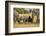 Family of African Elephants-Michele Westmorland-Framed Photographic Print