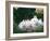 Family of Albino Netherland Dwarf Rabbits, USA-Lynn M. Stone-Framed Photographic Print