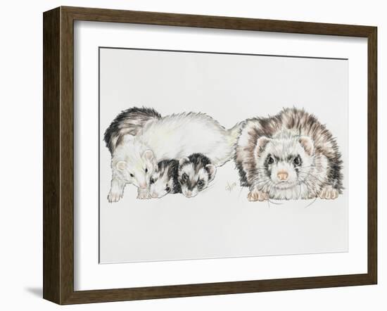 Family of Ferrets-Barbara Keith-Framed Giclee Print