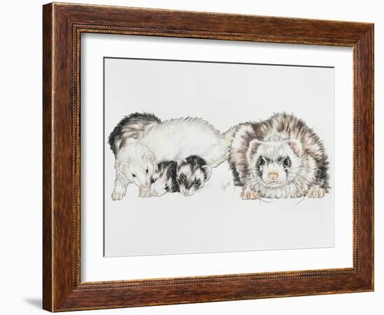 Family of Ferrets-Barbara Keith-Framed Giclee Print