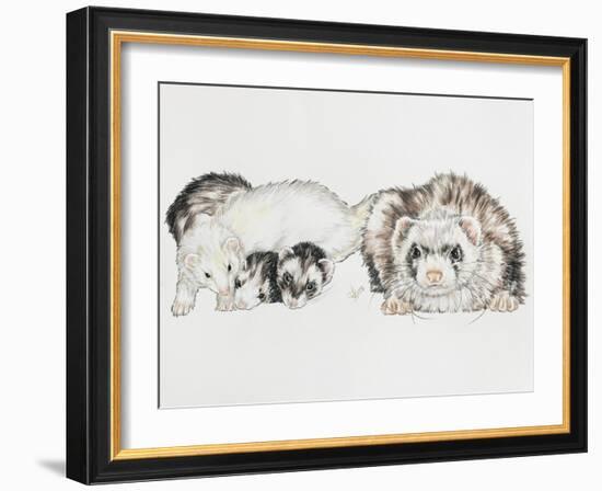 Family of Ferrets-Barbara Keith-Framed Giclee Print