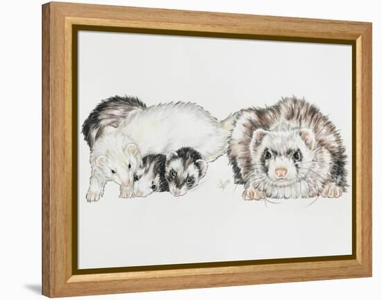 Family of Ferrets-Barbara Keith-Framed Premier Image Canvas