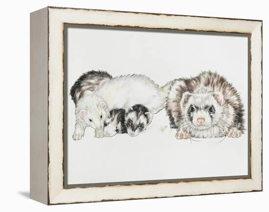 Family of Ferrets-Barbara Keith-Framed Premier Image Canvas