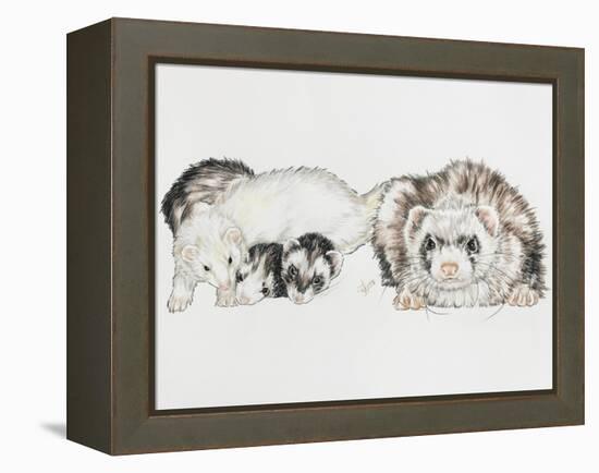 Family of Ferrets-Barbara Keith-Framed Premier Image Canvas