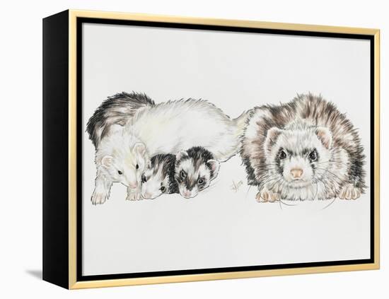 Family of Ferrets-Barbara Keith-Framed Premier Image Canvas