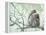 Family of Japanese Macaques Sitting in Tree in Shiga Mountains-Co Rentmeester-Framed Premier Image Canvas