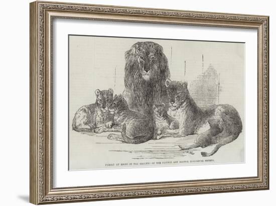 Family of Lions in the Gardens of the Clifton and Bristol Zoological Society-Harrison William Weir-Framed Giclee Print