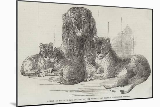 Family of Lions in the Gardens of the Clifton and Bristol Zoological Society-Harrison William Weir-Mounted Giclee Print