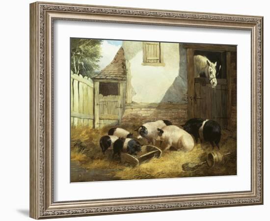 Family of Pigs-John Frederick Herring I-Framed Giclee Print