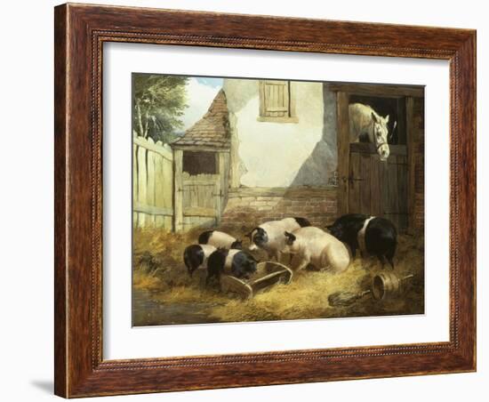 Family of Pigs-John Frederick Herring I-Framed Giclee Print