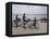 Family on Bicycles, Le Crotoy, Somme Estuary, Picardy, France-David Hughes-Framed Premier Image Canvas