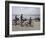 Family on Bicycles, Le Crotoy, Somme Estuary, Picardy, France-David Hughes-Framed Photographic Print