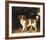 Family Outing-George Stubbs-Framed Premium Giclee Print
