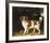 Family Outing-George Stubbs-Framed Premium Giclee Print