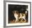 Family Outing-George Stubbs-Framed Premium Giclee Print