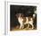 Family Outing-George Stubbs-Framed Premium Giclee Print