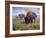 Family Outing-Jack Sorenson-Framed Art Print