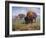 Family Outing-Jack Sorenson-Framed Art Print